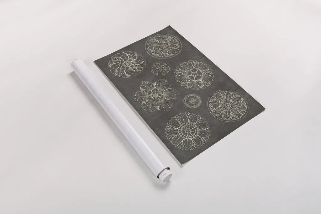 Rosette IX Gray by Wild Apple Portfolio. shown as a rolled paper print. Available as archival giclee rolled canvas, fine art paper, or poster print. SKU 21581i.