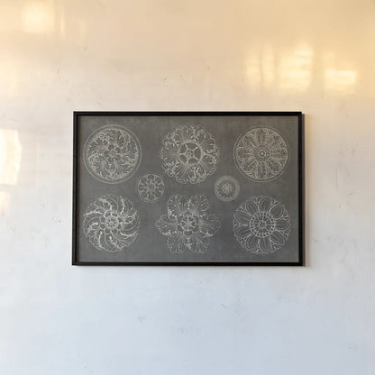 Rosette IX Gray by Wild Apple Portfolio. shown as a paper print in a black flame. Available as a archival giclee rolled canvas, fine art paper, or poster print. SKU 21581i.