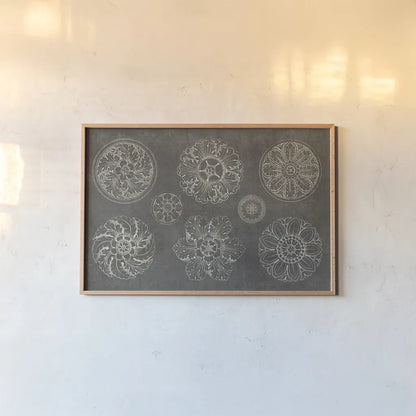 Rosette IX Gray by Wild Apple Portfolio. shown as a paper print in a natural frame. Available as a archival giclee rolled canvas, fine art paper, or poster print. SKU 21581i.