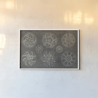 Rosette IX Gray by Wild Apple Portfolio. shown as a paper print in a white frame. Available as a archival giclee rolled canvas, fine art paper, or poster print. SKU 21581i.