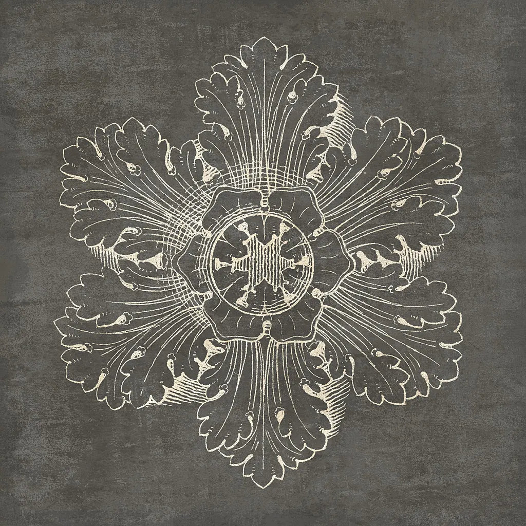 Rosette V Gray by Wild Apple Portfolio. SKU 21577a. Archival Giclee Fine art print for wall decor.