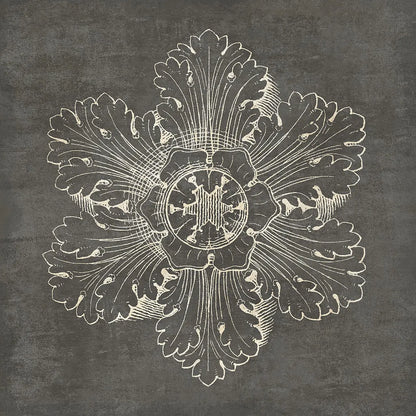 Rosette V Gray by Wild Apple Portfolio. SKU 21577a. Archival Giclee Fine art print for wall decor.
