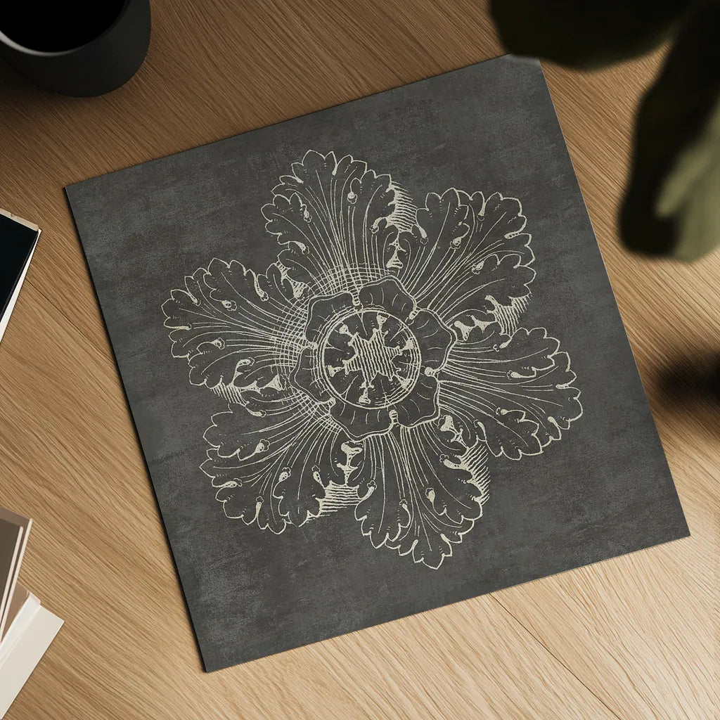 Rosette V Gray by Wild Apple Portfolio. Shown as a detailed flat fine art print, highlighting archival giclee quality. Available as an archival giclee rolled canvas, fine art paper, or poster print. SKU 21577a.