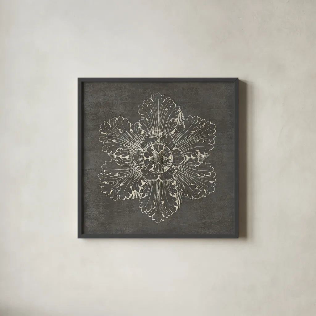 Rosette V Gray by Wild Apple Portfolio. Shown in a sleek black glass frame for a contemporary gallery look. Available as an archival giclee rolled canvas, fine art paper, or poster print. SKU 21577a.
