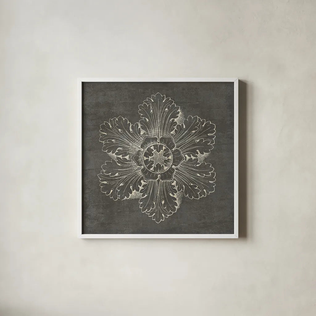 Rosette V Gray by Wild Apple Portfolio. Shown in a crisp white glass frame for a clean and minimalist style. Available as an archival giclee rolled canvas, fine art paper, or poster print. SKU 21577a.