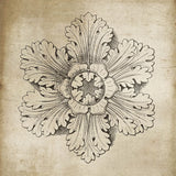Rosette V Neutral by Wild Apple Portfolio. SKU 24306a. Archival Giclee Fine art print for wall decor.