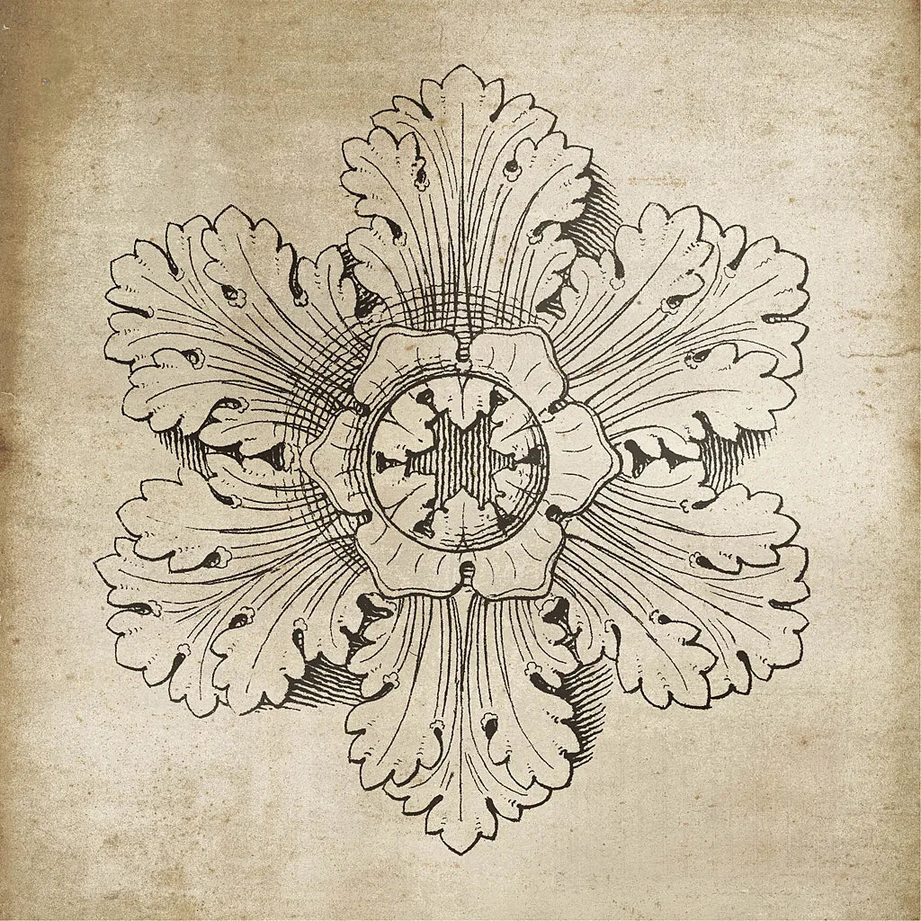 Rosette V Neutral by Wild Apple Portfolio. SKU 24306a. Archival Giclee Fine art print for wall decor.