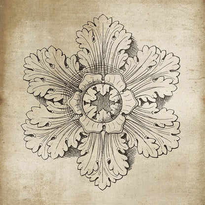 Rosette V Neutral by Wild Apple Portfolio. SKU 24306a. Archival Giclee Fine art print for wall decor.