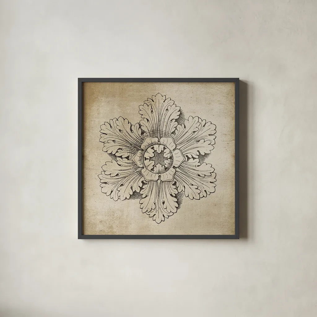 Rosette V Neutral by Wild Apple Portfolio. Shown in a sleek black glass frame for a contemporary gallery look. Available as an archival giclee rolled canvas, fine art paper, or poster print. SKU 24306a.