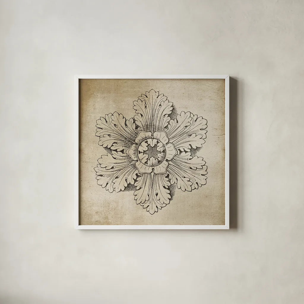 Rosette V Neutral by Wild Apple Portfolio. Shown in a crisp white glass frame for a clean and minimalist style. Available as an archival giclee rolled canvas, fine art paper, or poster print. SKU 24306a.