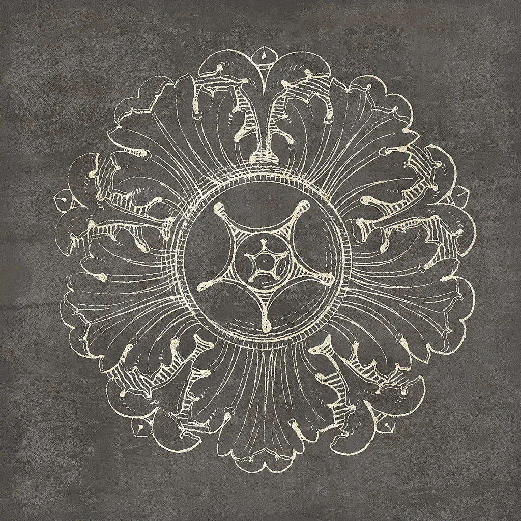 Rosette VI Gray by Wild Apple Portfolio. SKU 21578a. Archival Giclee Fine art print for wall decor.