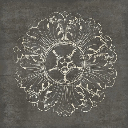 Rosette VI Gray by Wild Apple Portfolio. SKU 21578a. Archival Giclee Fine art print for wall decor.