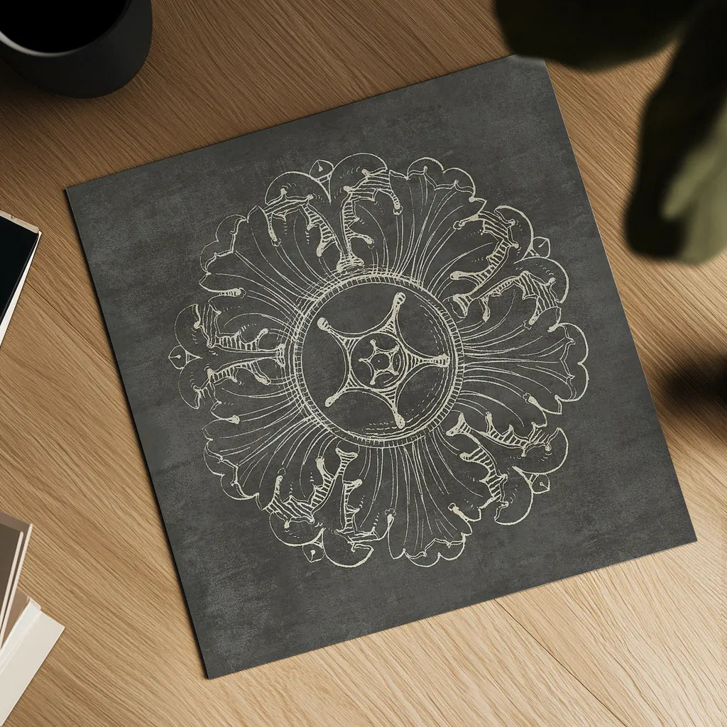 Rosette VI Gray by Wild Apple Portfolio. Shown as a detailed flat fine art print, highlighting archival giclee quality. Available as an archival giclee rolled canvas, fine art paper, or poster print. SKU 21578a.