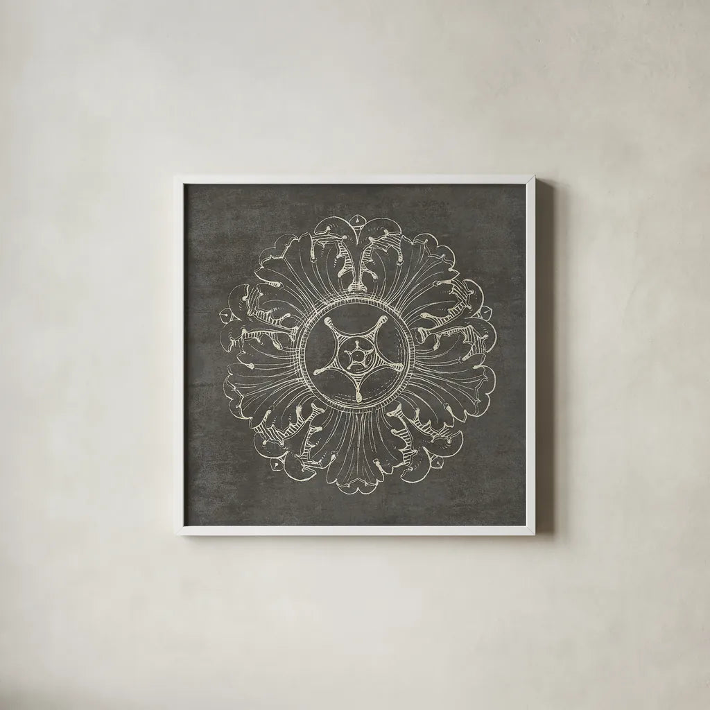 Rosette VI Gray by Wild Apple Portfolio. Shown in a crisp white glass frame for a clean and minimalist style. Available as an archival giclee rolled canvas, fine art paper, or poster print. SKU 21578a.