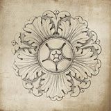 Rosette VI Neutral by Wild Apple Portfolio. SKU 24307a. Archival Giclee Fine art print for wall decor.