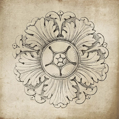 Rosette VI Neutral by Wild Apple Portfolio. SKU 24307a. Archival Giclee Fine art print for wall decor.