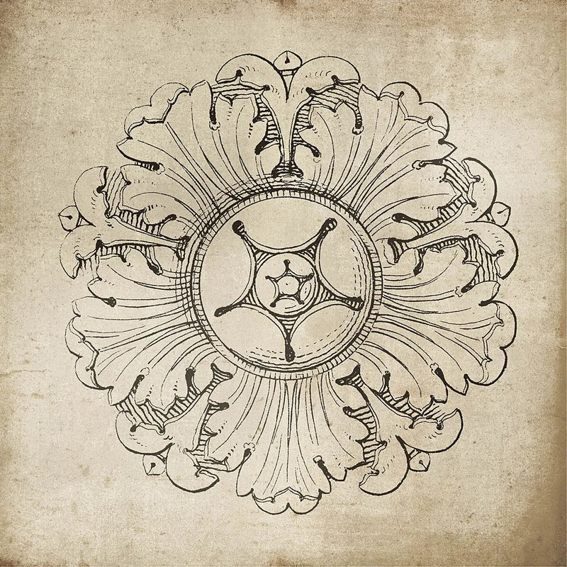 Rosette VI Neutral by Wild Apple Portfolio. SKU 24307a. Archival Giclee Fine art print for wall decor.