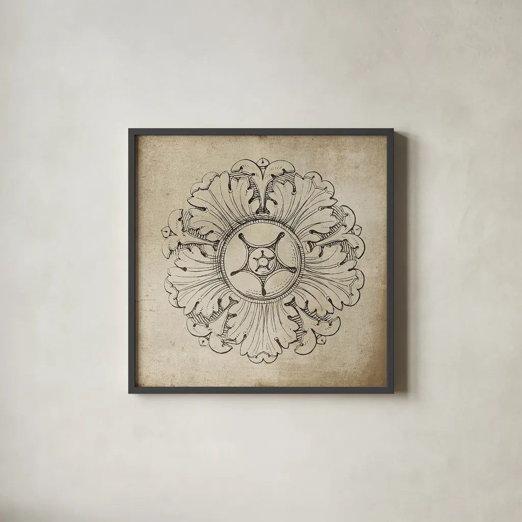 Rosette VI Neutral by Wild Apple Portfolio. Shown in a sleek black glass frame for a contemporary gallery look. Available as an archival giclee rolled canvas, fine art paper, or poster print. SKU 24307a.