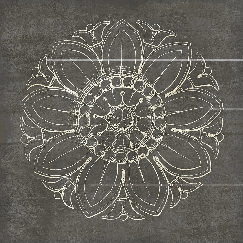 Rosette VII Gray by Wild Apple Portfolio. SKU 21579a. Archival Giclee Fine art print for wall decor.