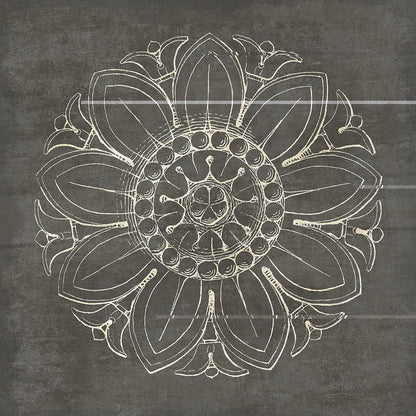 Rosette VII Gray by Wild Apple Portfolio. SKU 21579a. Archival Giclee Fine art print for wall decor.