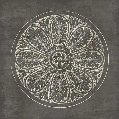Rosette VIII Gray by Wild Apple Portfolio. SKU 21580a. Archival Giclee Fine art print for wall decor.