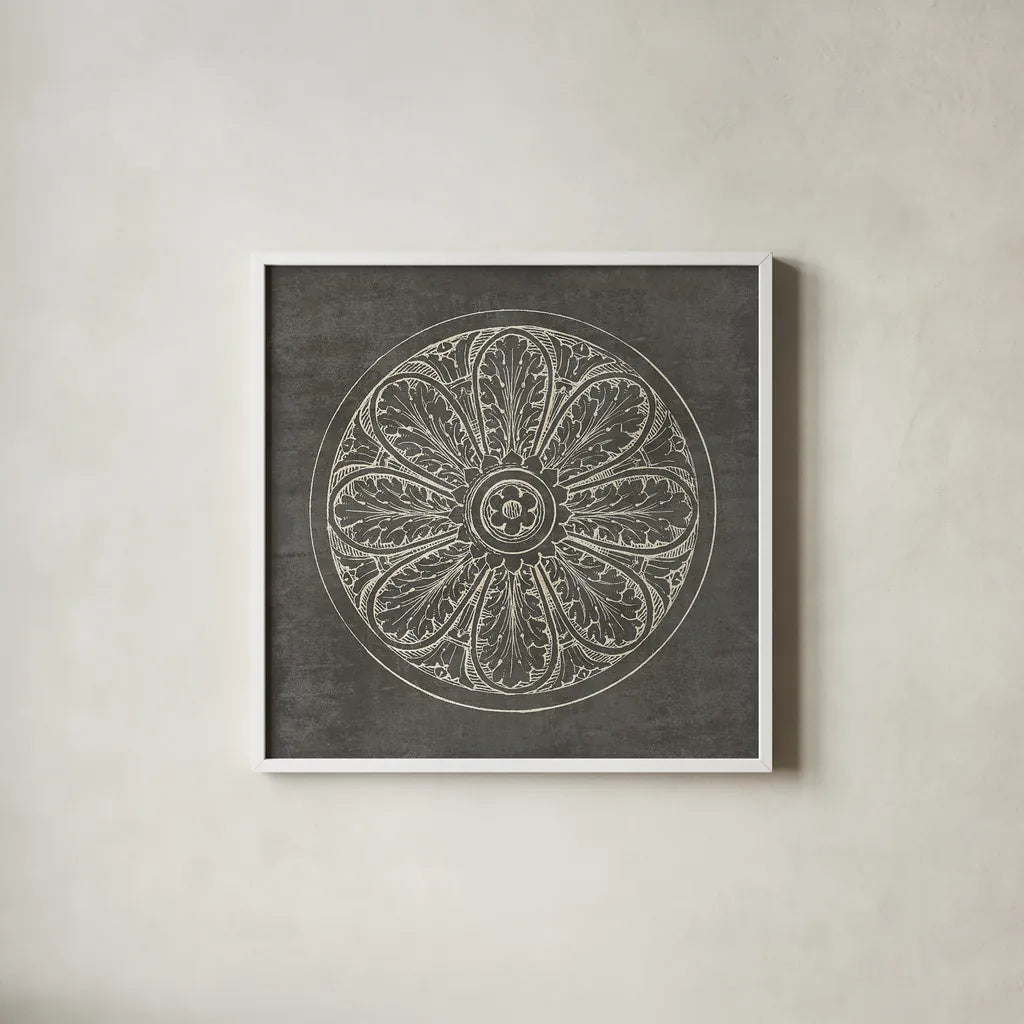 Rosette VIII Gray by Wild Apple Portfolio. Shown in a crisp white glass frame for a clean and minimalist style. Available as an archival giclee rolled canvas, fine art paper, or poster print. SKU 21580a.