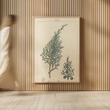Sabine Drawing by Wild Apple Portfolio. shown as over sized large wall art. Available as an archival giclee rolled canvas, fine art paper, or poster print. SKU 48460h.