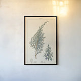 Sabine Drawing by Wild Apple Portfolio. shown as a paper print in a black flame. Available as a archival giclee rolled canvas, fine art paper, or poster print. SKU 48460h.