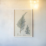 Sabine Drawing by Wild Apple Portfolio. shown as a paper print in a white frame. Available as a archival giclee rolled canvas, fine art paper, or poster print. SKU 48460h.