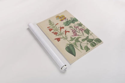 Salvia Florals I by Wild Apple Portfolio. shown as a rolled paper print. Available as archival giclee rolled canvas, fine art paper, or poster print. SKU 98094h.