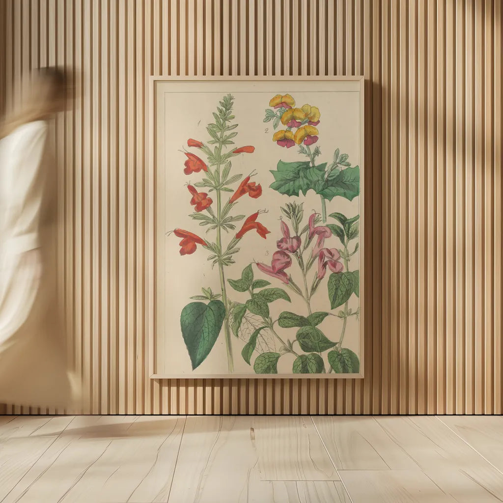 Salvia Florals I by Wild Apple Portfolio. shown as over sized large wall art. Available as an archival giclee rolled canvas, fine art paper, or poster print. SKU 98094h.