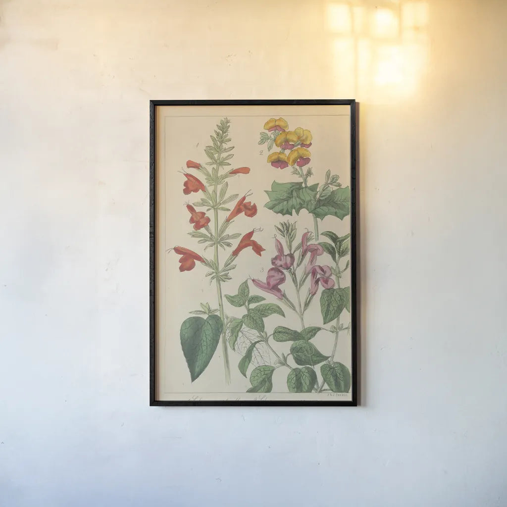 Salvia Florals I by Wild Apple Portfolio. shown as a paper print in a black flame. Available as a archival giclee rolled canvas, fine art paper, or poster print. SKU 98094h.