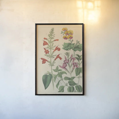 Salvia Florals I by Wild Apple Portfolio. shown as a paper print in a black flame. Available as a archival giclee rolled canvas, fine art paper, or poster print. SKU 98094h.