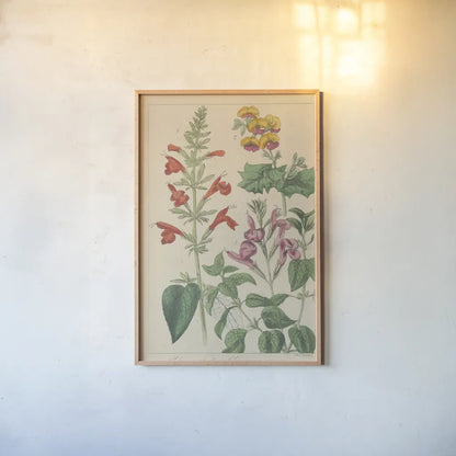 Salvia Florals I by Wild Apple Portfolio. shown as a paper print in a natural frame. Available as a archival giclee rolled canvas, fine art paper, or poster print. SKU 98094h.