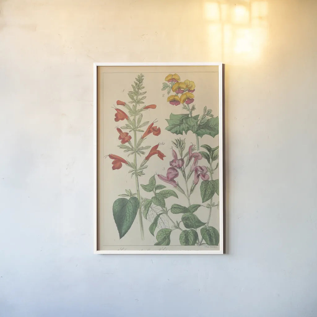 Salvia Florals I by Wild Apple Portfolio. shown as a paper print in a white frame. Available as a archival giclee rolled canvas, fine art paper, or poster print. SKU 98094h.