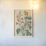 Salvia Florals I by Wild Apple Portfolio. shown as a paper print in a white frame. Available as a archival giclee rolled canvas, fine art paper, or poster print. SKU 98094h.
