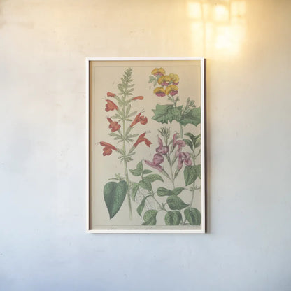 Salvia Florals I by Wild Apple Portfolio. shown as a paper print in a white frame. Available as a archival giclee rolled canvas, fine art paper, or poster print. SKU 98094h.