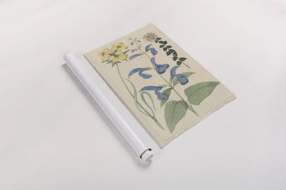 Salvia Florals II by Wild Apple Portfolio. shown as a rolled paper print. Available as archival giclee rolled canvas, fine art paper, or poster print. SKU 98095h.