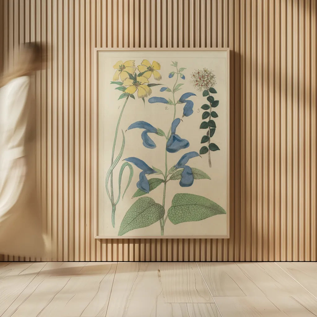 Salvia Florals II by Wild Apple Portfolio. shown as over sized large wall art. Available as an archival giclee rolled canvas, fine art paper, or poster print. SKU 98095h.