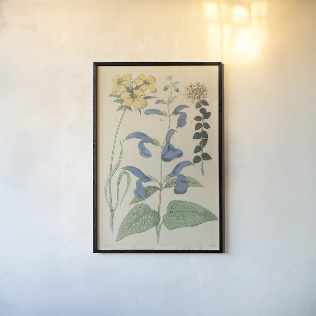 Salvia Florals II by Wild Apple Portfolio. shown as a paper print in a black flame. Available as a archival giclee rolled canvas, fine art paper, or poster print. SKU 98095h.