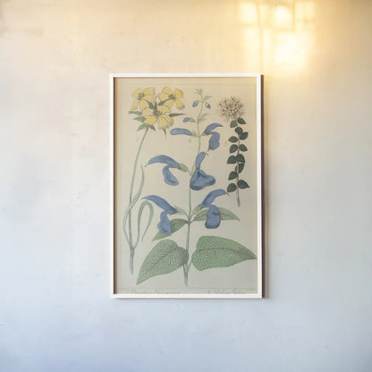 Salvia Florals II by Wild Apple Portfolio. shown as a paper print in a white frame. Available as a archival giclee rolled canvas, fine art paper, or poster print. SKU 98095h.