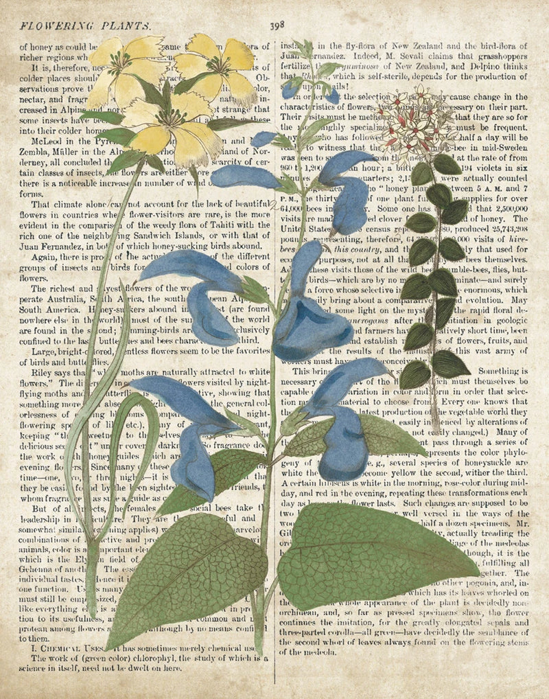 Salvia Florals on Newsprint II by Wild Apple Portfolio