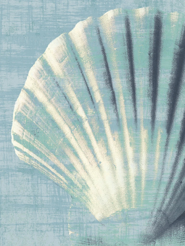 Scallop on Blue by Wild Apple Portfolio