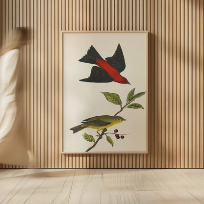 Scarlet Tanager Bright by Wild Apple Portfolio. shown as over sized large wall art. Available as an archival giclee rolled canvas, fine art paper, or poster print. SKU 76125h.