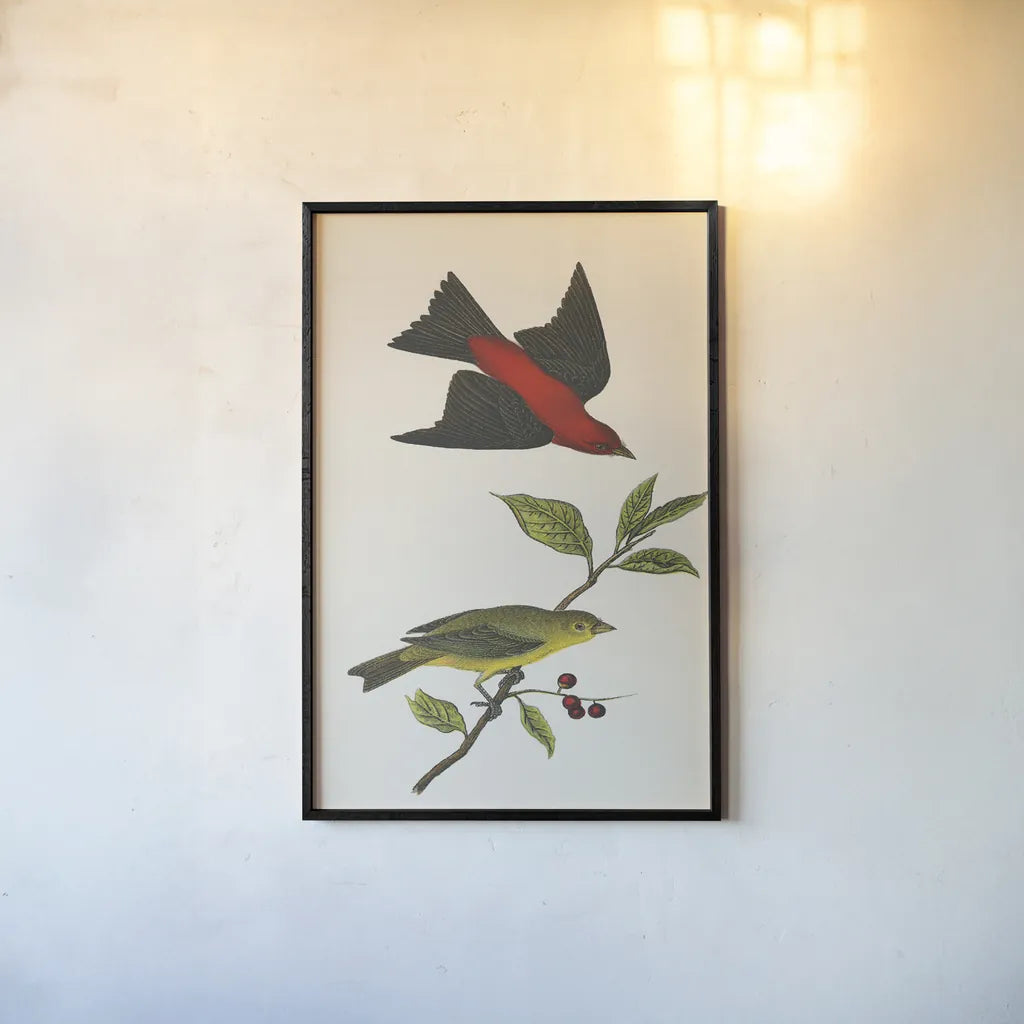 Scarlet Tanager Bright by Wild Apple Portfolio. shown as a paper print in a black flame. Available as a archival giclee rolled canvas, fine art paper, or poster print. SKU 76125h.