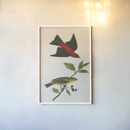 Scarlet Tanager Bright by Wild Apple Portfolio. shown as a paper print in a white frame. Available as a archival giclee rolled canvas, fine art paper, or poster print. SKU 76125h.
