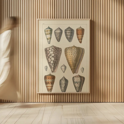 Shell Assorment II by Wild Apple Portfolio. shown as over sized large wall art. Available as an archival giclee rolled canvas, fine art paper, or poster print. SKU 45756h.