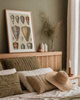 Shell Assorment II by Wild Apple Portfolio. shown as a paper print in a natural frame. Available as a archival giclee rolled canvas, fine art paper, or poster print. SKU 45756h.