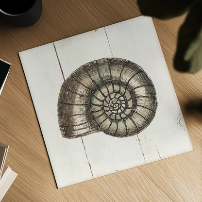 Shell Sketches I Shiplap by Wild Apple Portfolio. Shown as a detailed flat fine art print, highlighting archival giclee quality. Available as an archival giclee rolled canvas, fine art paper, or poster print. SKU 36265a.