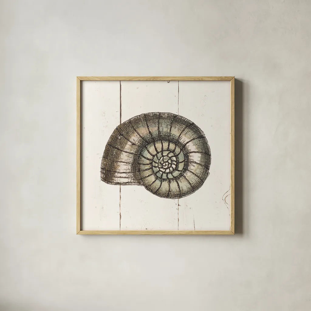 Shell Sketches I Shiplap by Wild Apple Portfolio. Shown in a natural wood glass frame for a timeless modern aesthetic. Available as an archival giclee rolled canvas, fine art paper, or poster print. SKU 36265a.